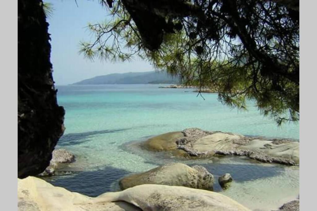 Plateia Apartment Agios Nikolaos (Chalkidiki)