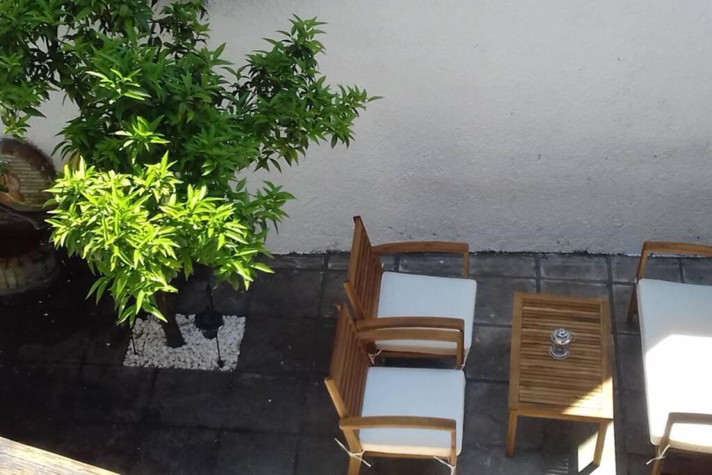 Apartment Plateia *